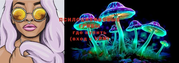 герыч Касимов