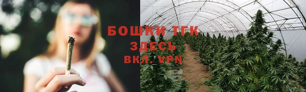 ГАЛЛЮЦИНОГЕННЫЕ ГРИБЫ Карпинск